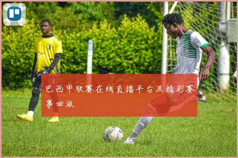 巴西甲联赛在线直播平台及精彩赛事回放