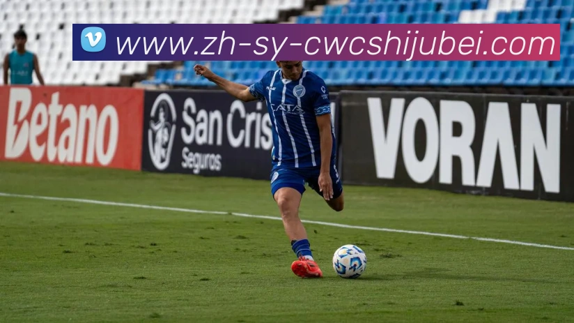 世界杯买球平台生态图