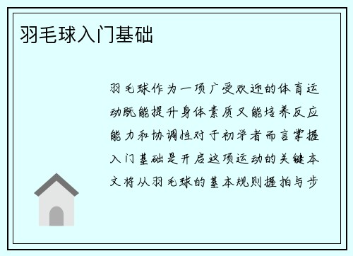 羽毛球入门基础