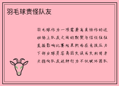 羽毛球责怪队友